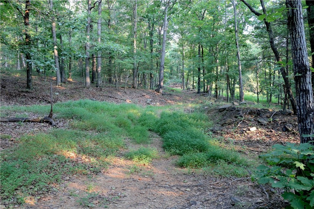 Picture 21