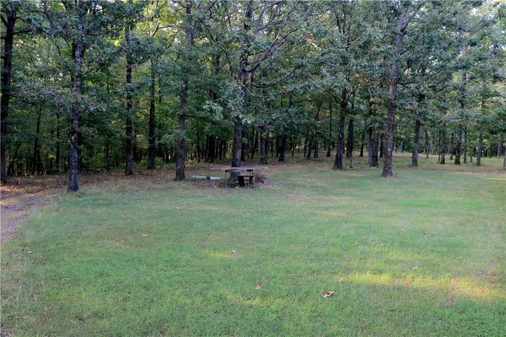 Picture 31