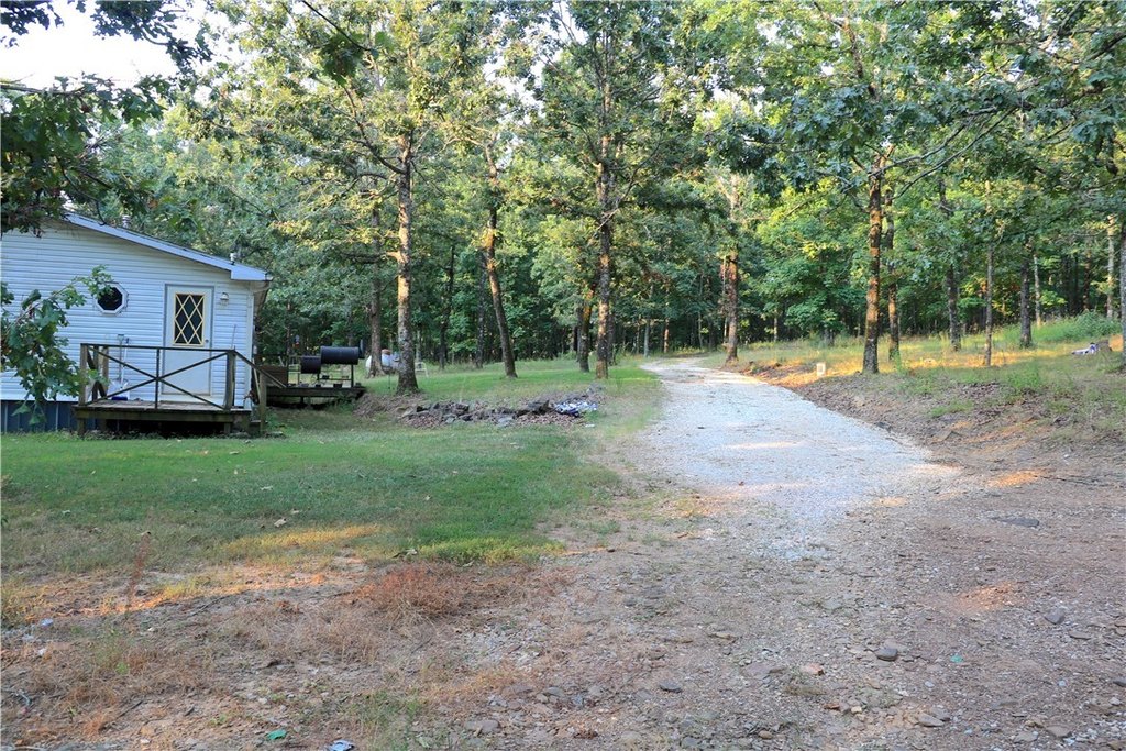 Picture 12