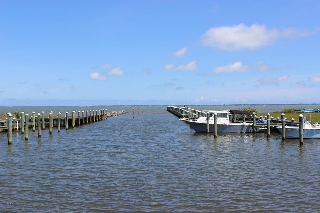 Picture 20