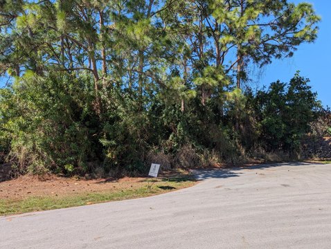 Vacant Lot in Port St. Lucie