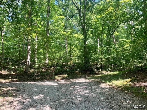 Wooded Land in Dogwood Acres