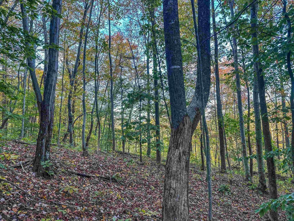 Picture 23