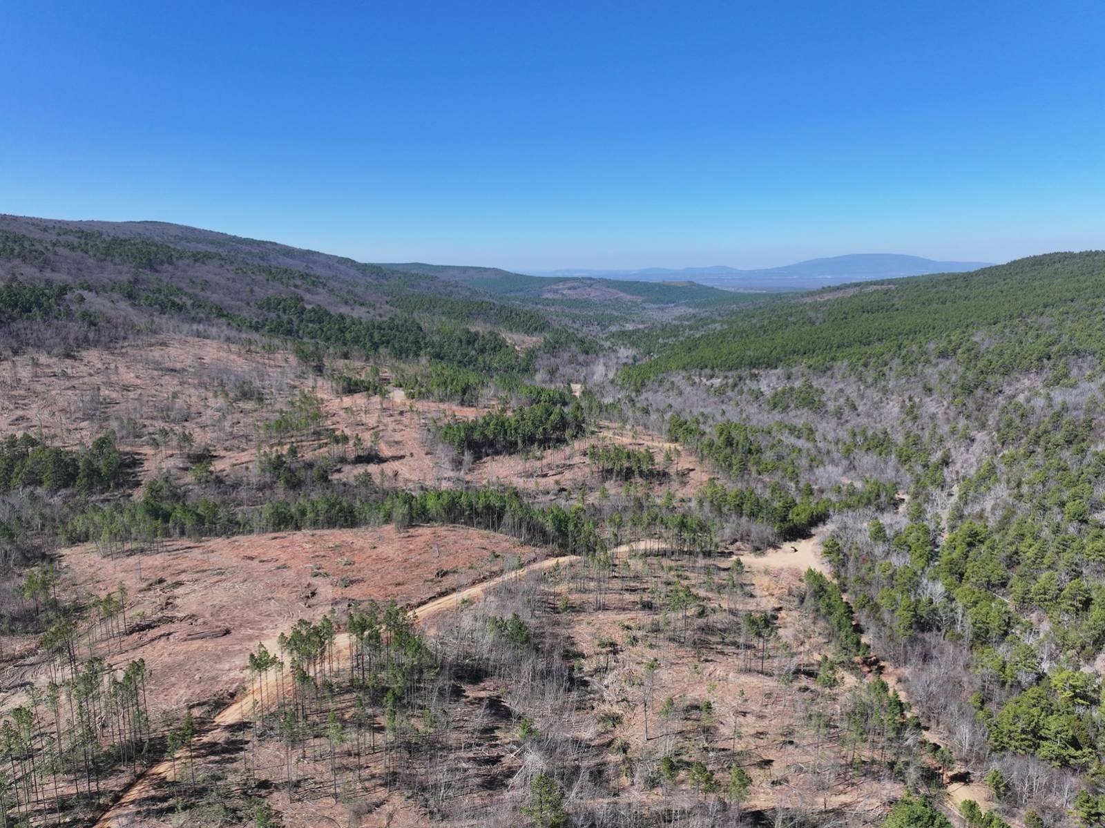 Poteau Mountain Timberland Investment Property