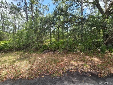 LAND - Homosassa, FL