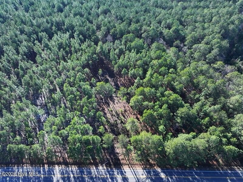 Heavily Wooded Residential Lot
