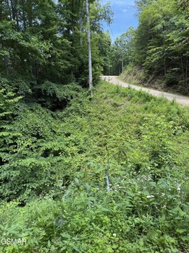 LAND - Sevierville, TN
