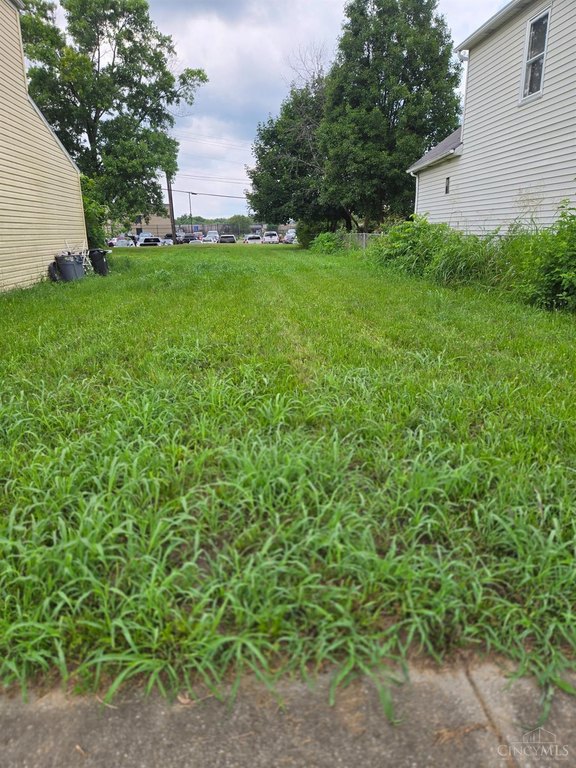 Picture 3