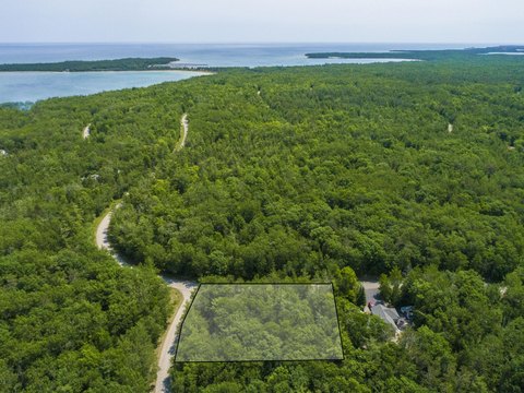 Presque Isle Wooded Lot