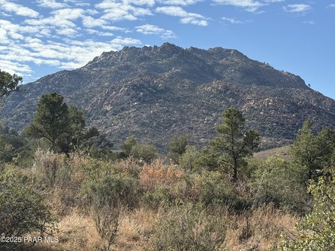 Residential Land in Prescott, AZ