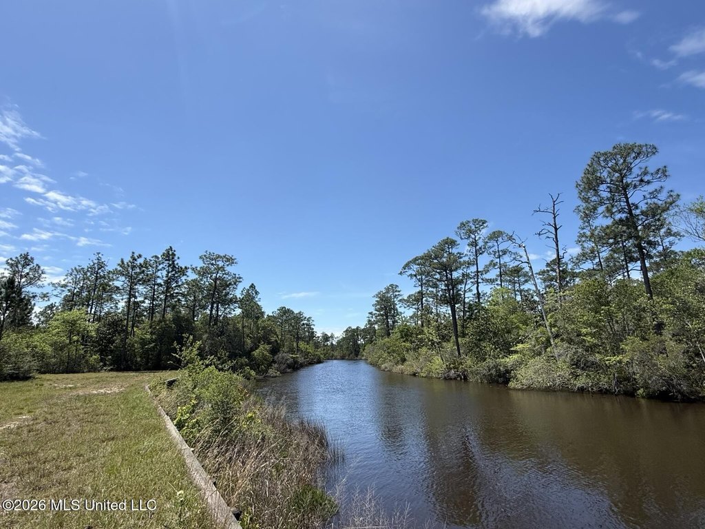 Picture 14