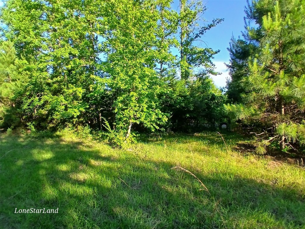 Picture 23