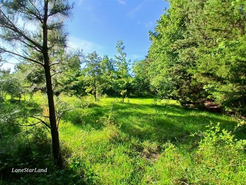 Unimproved Land in Pittsburg, TX