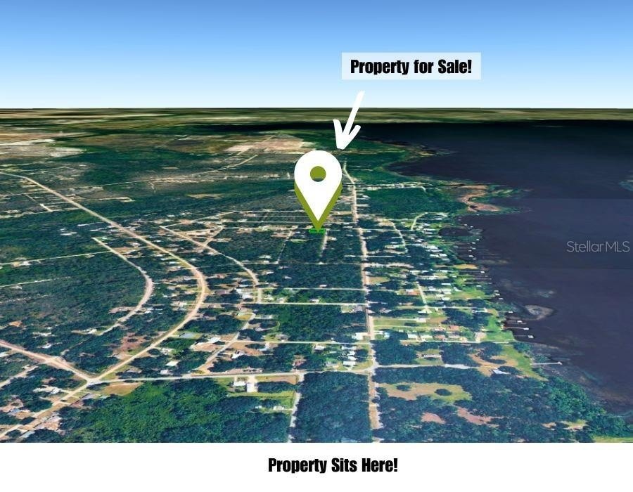 Picture 10