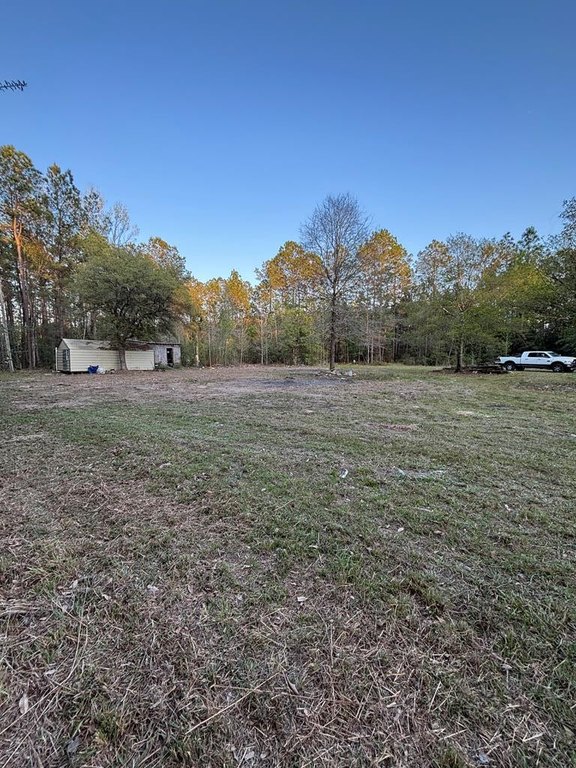Picture 13