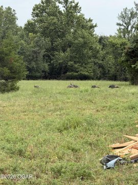 Land, Granby, MO