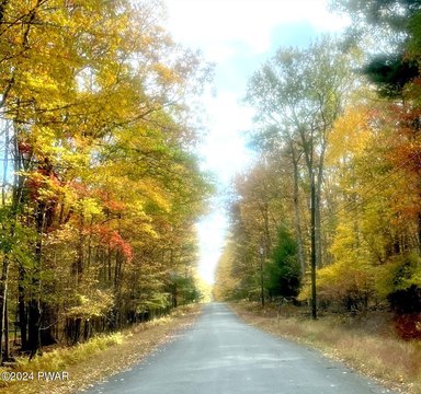 Vacant Land in Hawley, PA