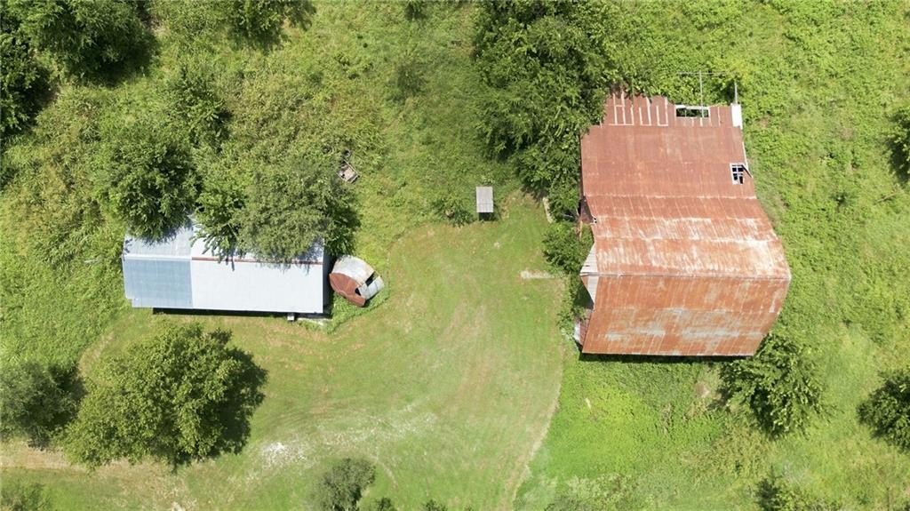 Picture 29