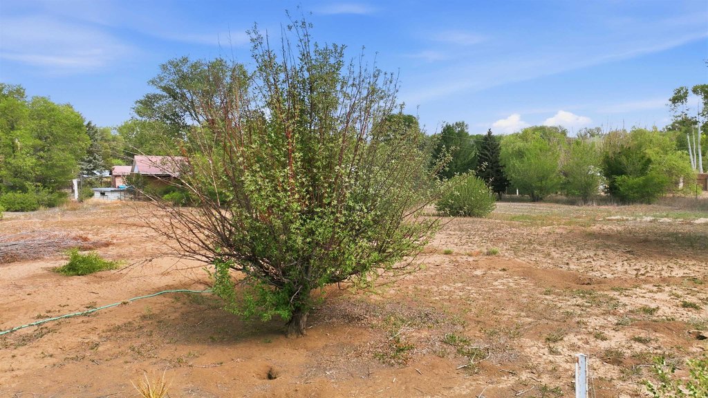 Picture 9