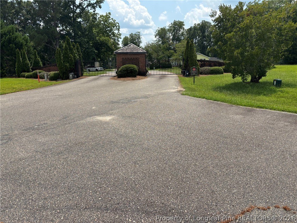 Picture 3