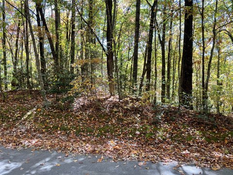 Wooded Lot in Holly Forest