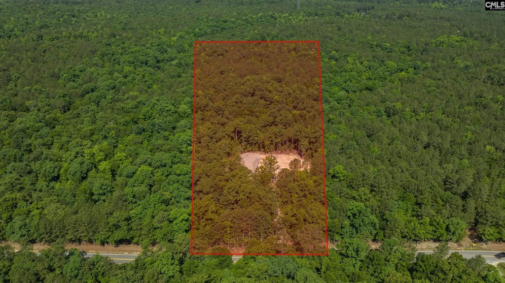 Picture 20