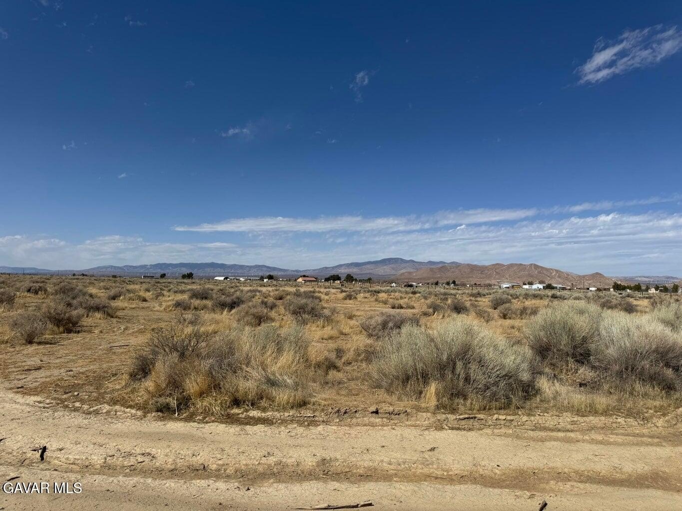 Desert Land Near Willow Springs