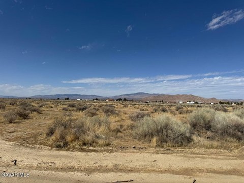 Desert Land Near Willow Springs