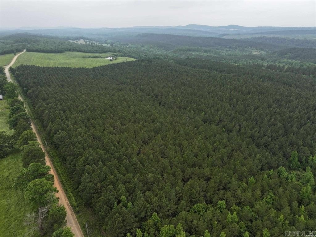 Wooded Land Near Cossatot River