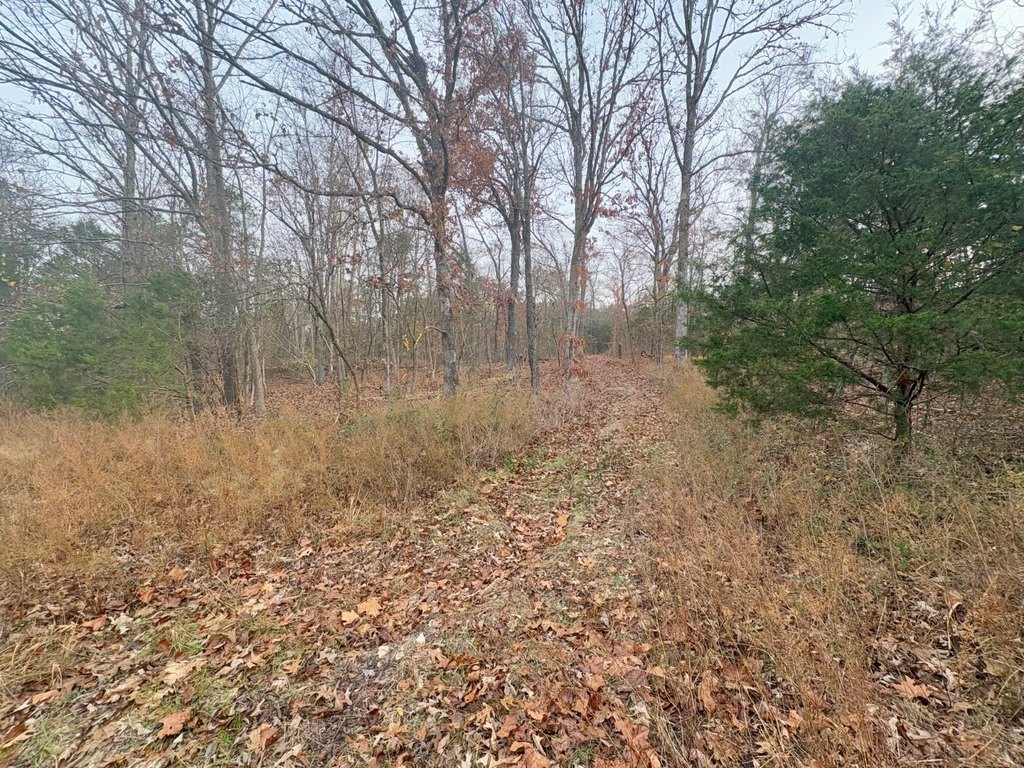 Picture 19