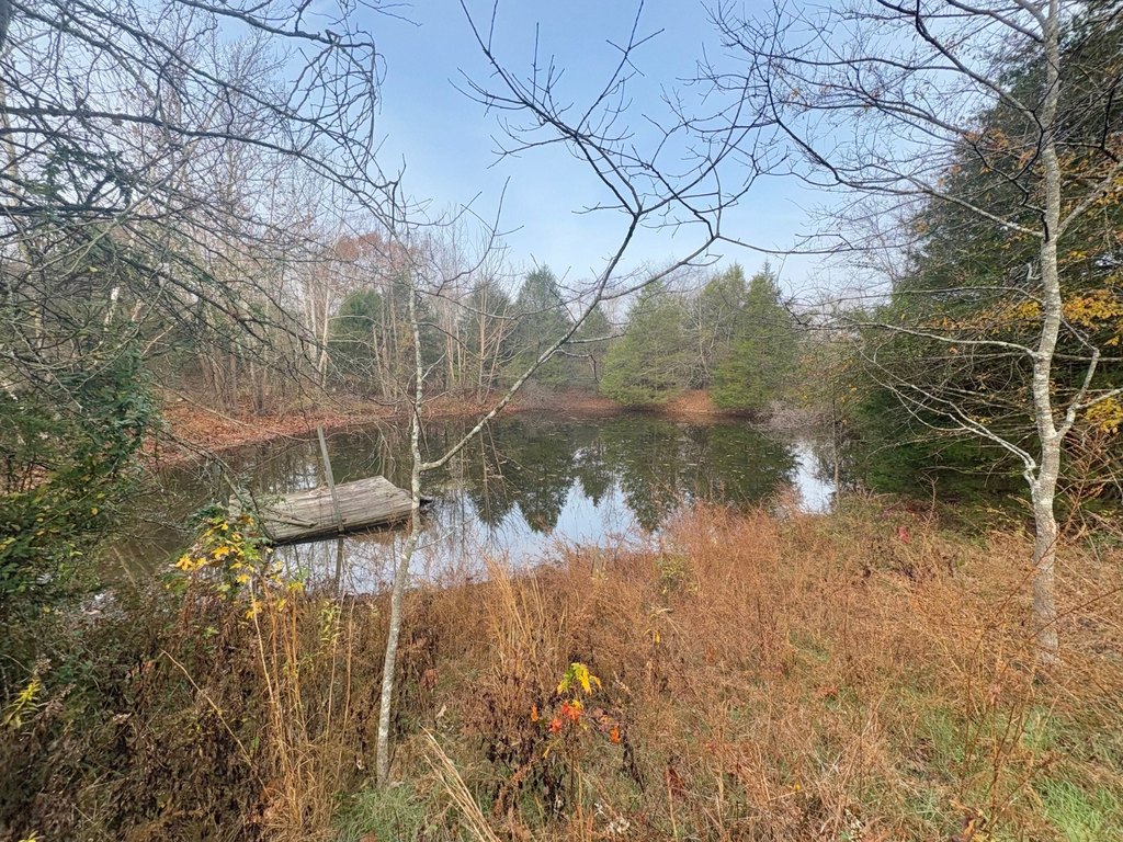 Picture 17