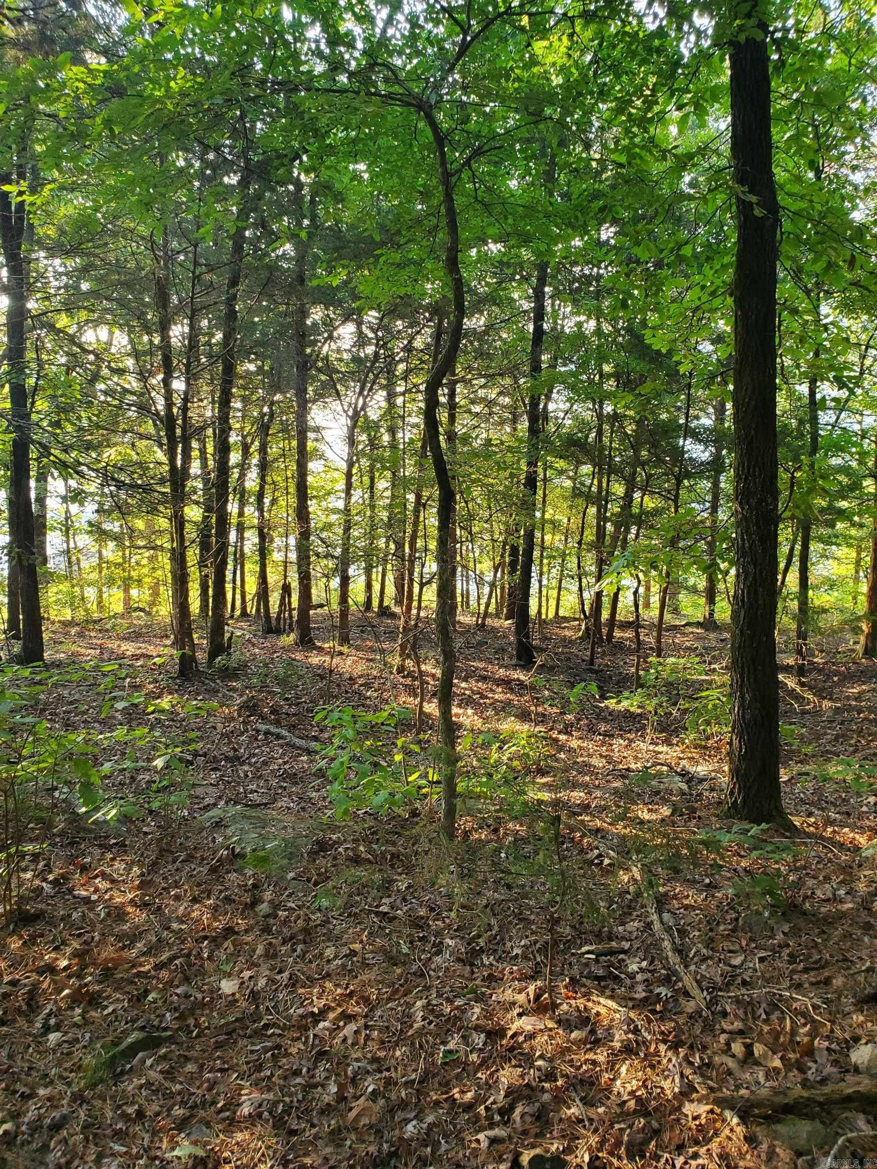 Fairfield Bay Lakefront Lot