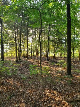 Fairfield Bay Lakefront Lot