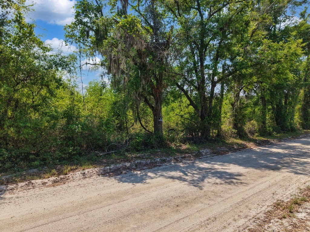 Picture 21