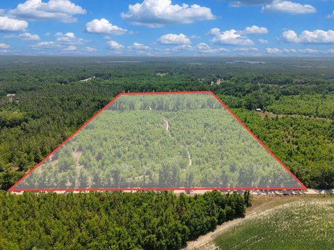 Lots & Acreage - Branford, FL