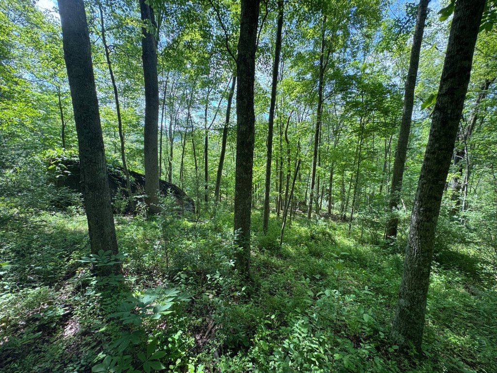 Picture 21