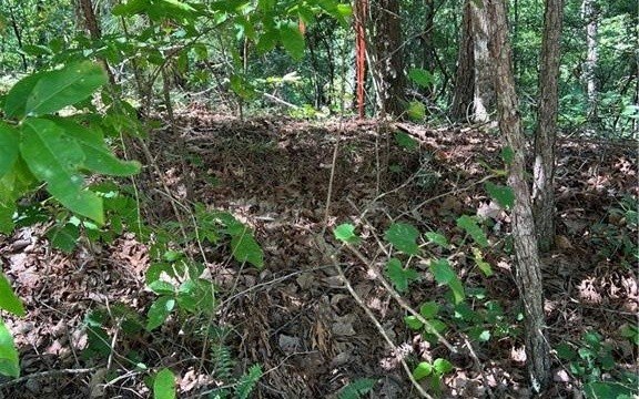 Picture 13