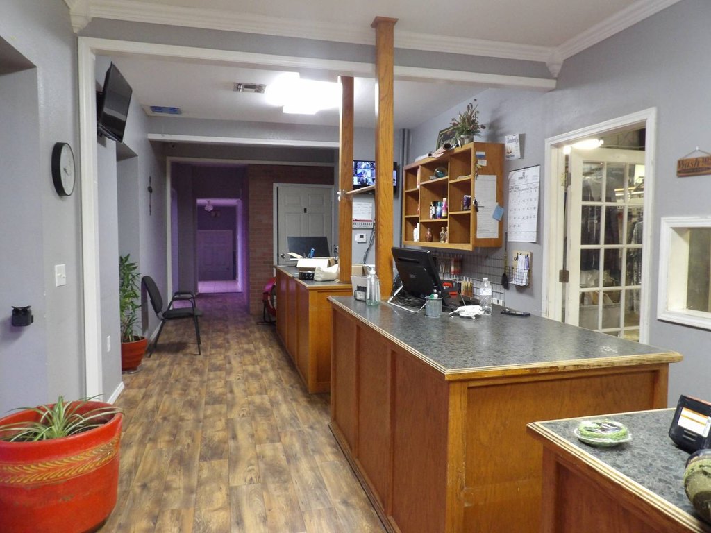 Picture 8
