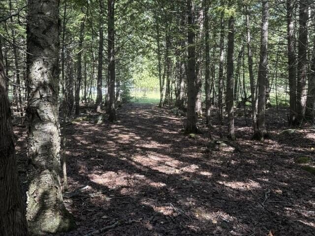 Picture 9