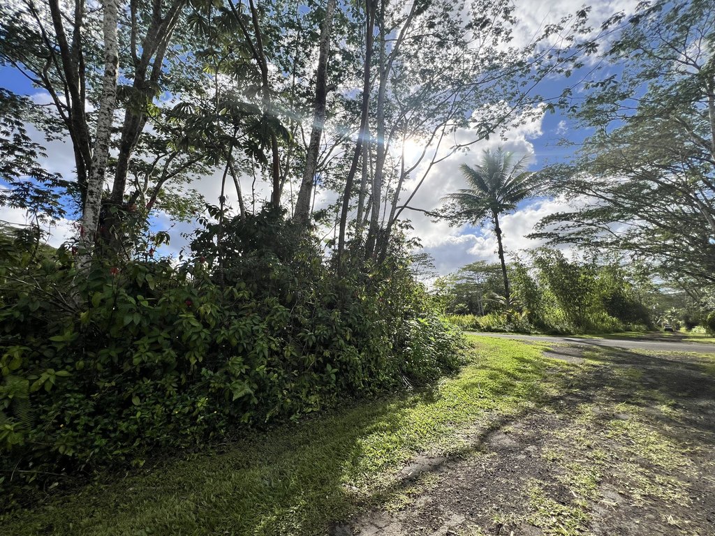 Picture 5