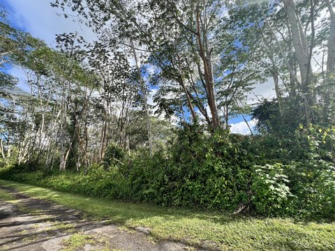 Vacant Corner Lot in Pahoa