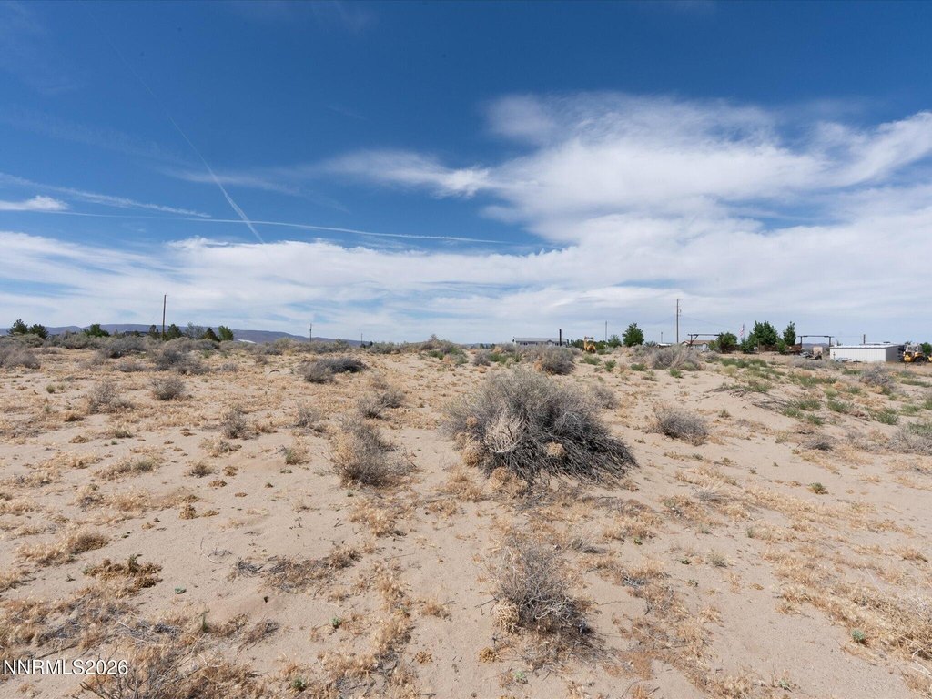 Picture 23