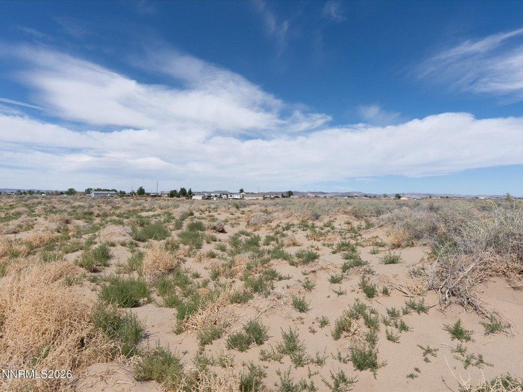 Picture 17