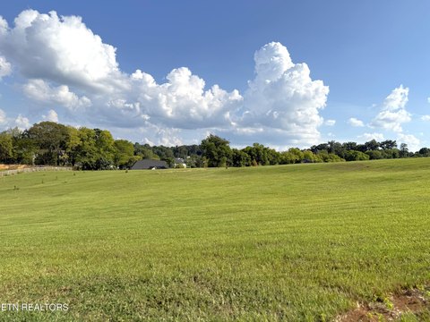 Lots & Acreage, Friendsville, TN