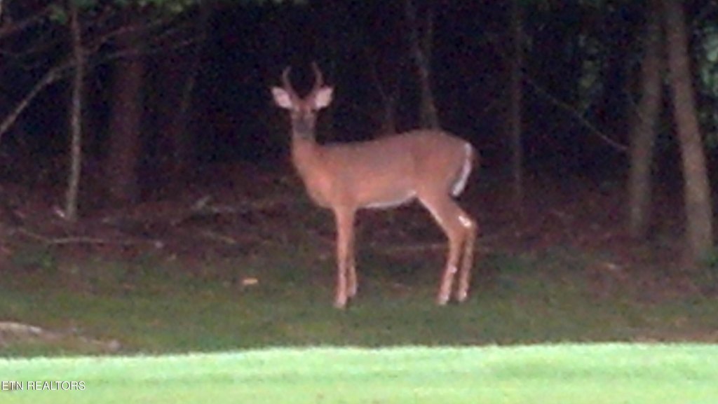 Picture 42