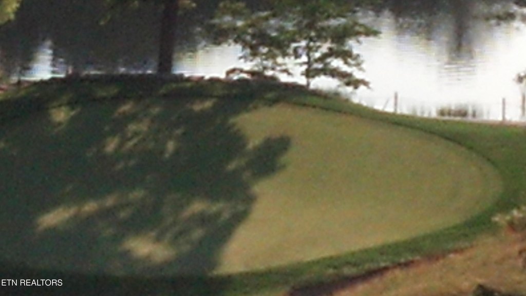 Picture 45