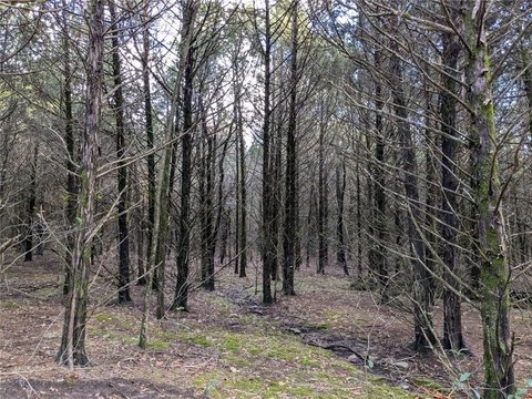 Land for Residential Development