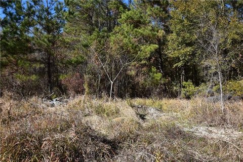Residential Land in Pearl River