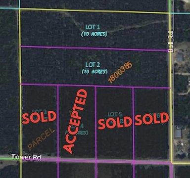 Wooded Land Parcel