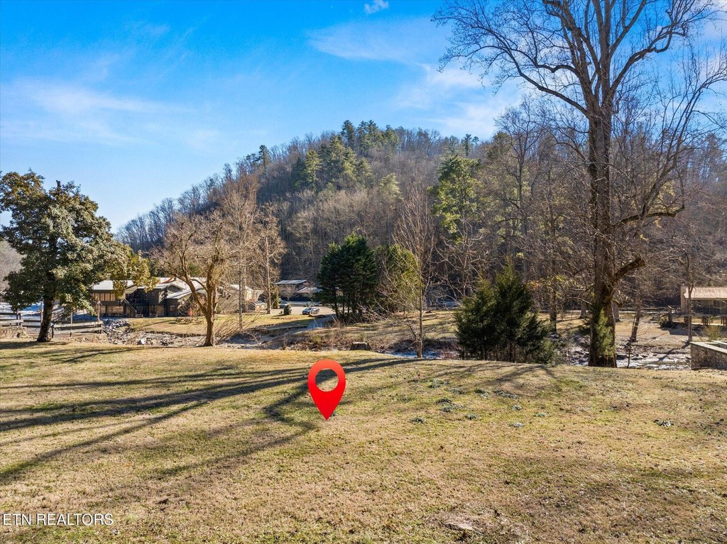 Picture 7